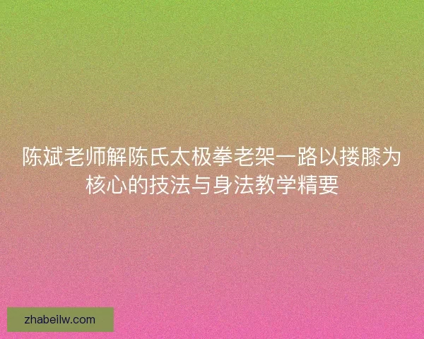 陈斌老师解陈氏太极拳老架一路以搂膝为核心的技法与身法教学精要 陈斌老师解陈氏太极拳老架一路以搂膝为核心的技法与身法教学精要