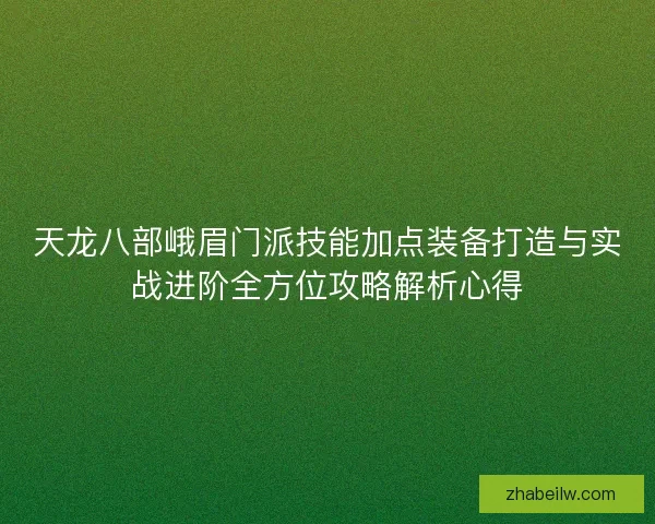天龙八部峨眉门派技能加点装备打造与实战进阶全方位攻略解析心得